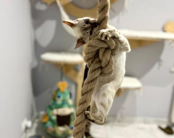 Juteseil zum Klettern für Katzen. Deckenseil für Katzen. Kratzbaum zur Deckenmontage, Spielzeug für Katzen zum Kratzen und Beißen.