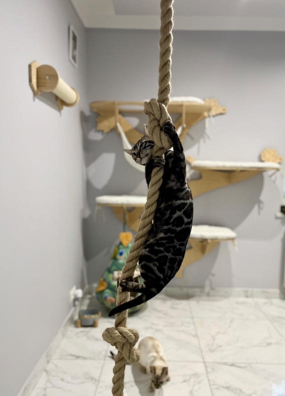 Jute rope for cat, Ceiling-mounted climbing jute rope, Deckenkletterndes Juteseil für Katze, Juteseil für Katze, Spielplatz für Katzen