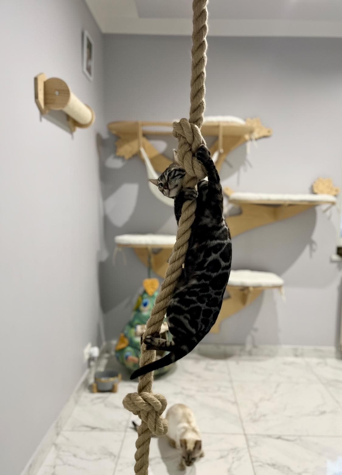 Jute Rope for Cat, Ceiling-mounted Climbing Jute Rope Scratcher