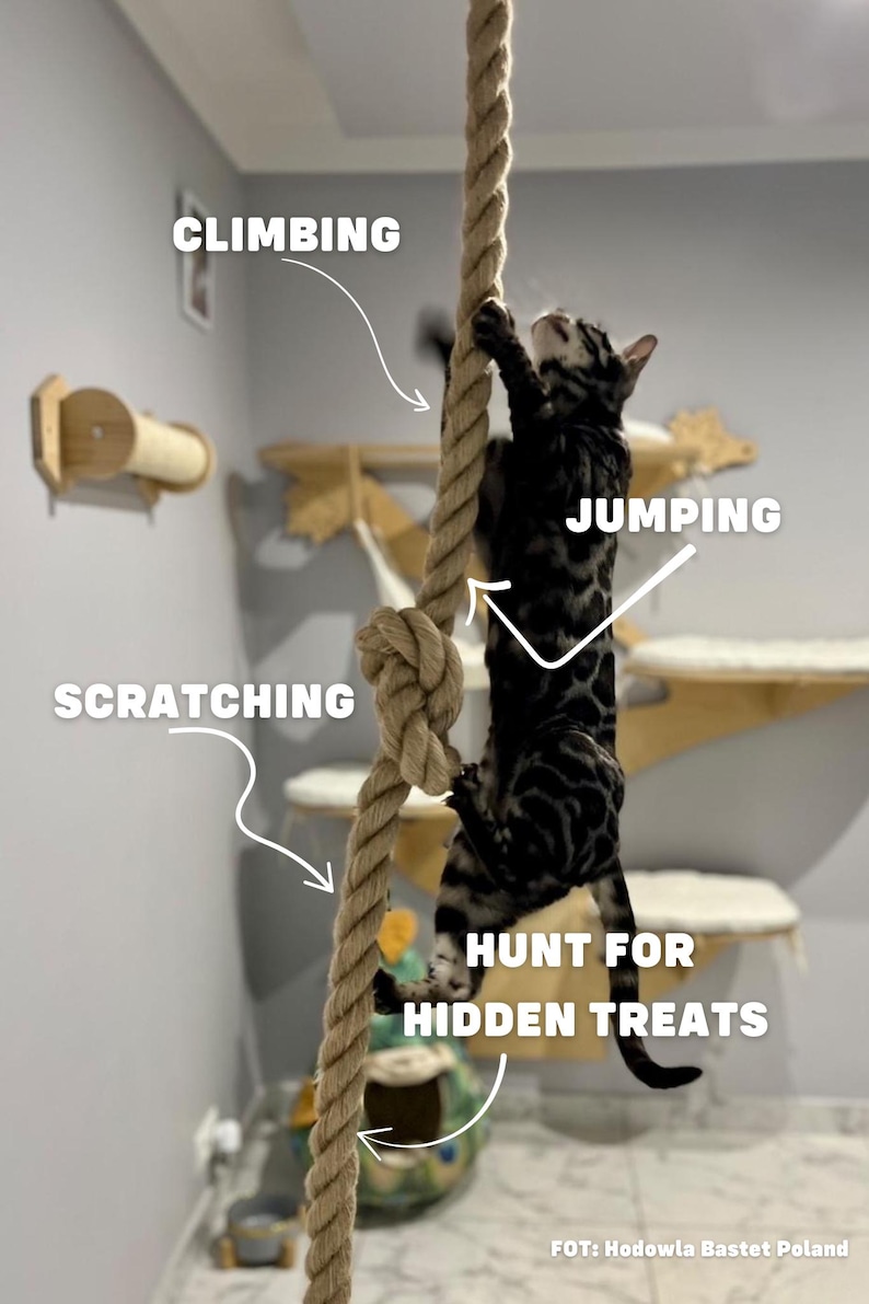Multifunctional safe toy for cat. Ropefor cats to play jumping and climbing