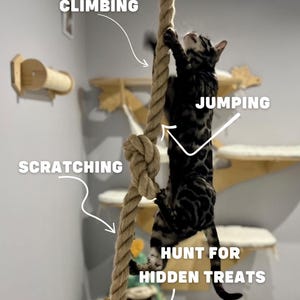 Jute Rope for Cats to Climb – WITHOUT MOUNTING, Jute Scratcher Cat Toy ...
