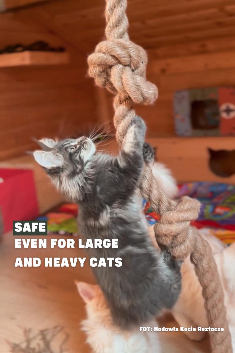 Jute rope for big heavy cats kotiowo