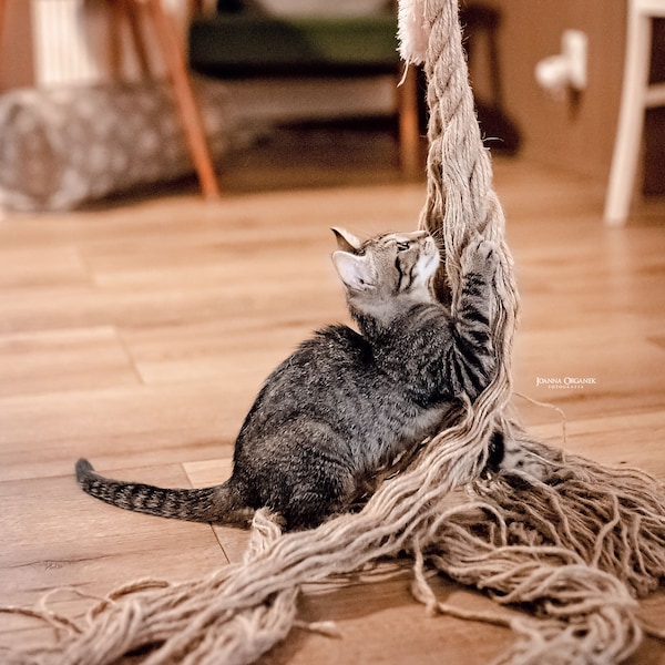 Corde de jute pour chat, Corde de jute d'escalade montée au plafond, Deckenkletterndes Juteseil für Katze, Juteseil für Katze, Spielplatz für Katzen