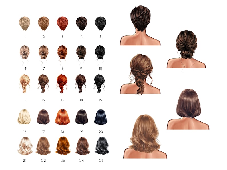 May include: Illustration of various hairstyles, numbered 1 through 25. The image showcases a range of hair colors and styles, including buns, braids, and loose waves. The styles are depicted from the back, offering a view of the hair's texture and form.