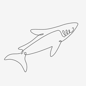 Shark