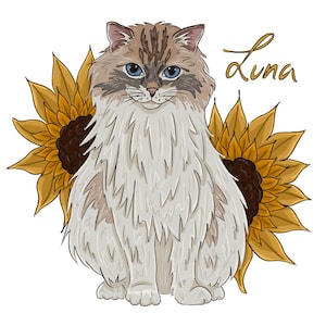 Custom Cat Portrait, Pet Portrait, Drawing from Photo, Personalized Gift, Digital Illustration