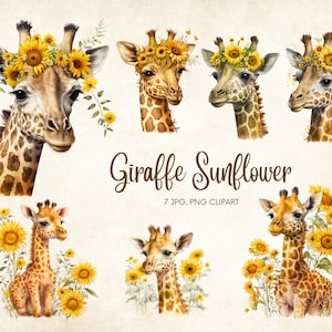 Girafa Girassóis Girassóis Aquarela Clipart PNG, Clipart De Girassol Para Impressão Downloads de Imagens Digitais