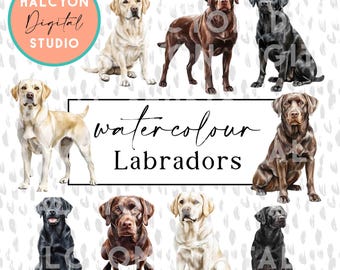 Watercolor Labrador Clipart | Black Cream Chocolate Watercolour Labradors | Instant Download