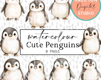 Cute Watercolor Penguins Clipart – 9 PNG Files – Arctic Animal Digital Download – Winter Wildlife