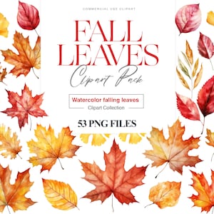 Herbst Blätter Clipart, Aquarell Herbst Clipart, Herbst Blatt, Ahornblätter, Eiche, Orange Blatt Clipart, Herbst Dekor