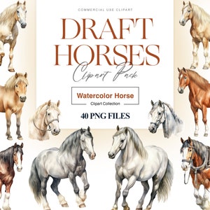 Zugpferd Clipart, Clydesdale Pferd, Belgisches Kaltblut, italienisches Kaltblut Clipart, Shire Clipart