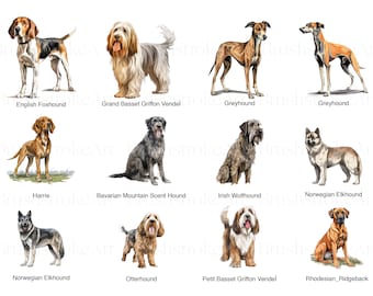 Hound Group Dogs Clipart Collection 37 Unique Watercolor