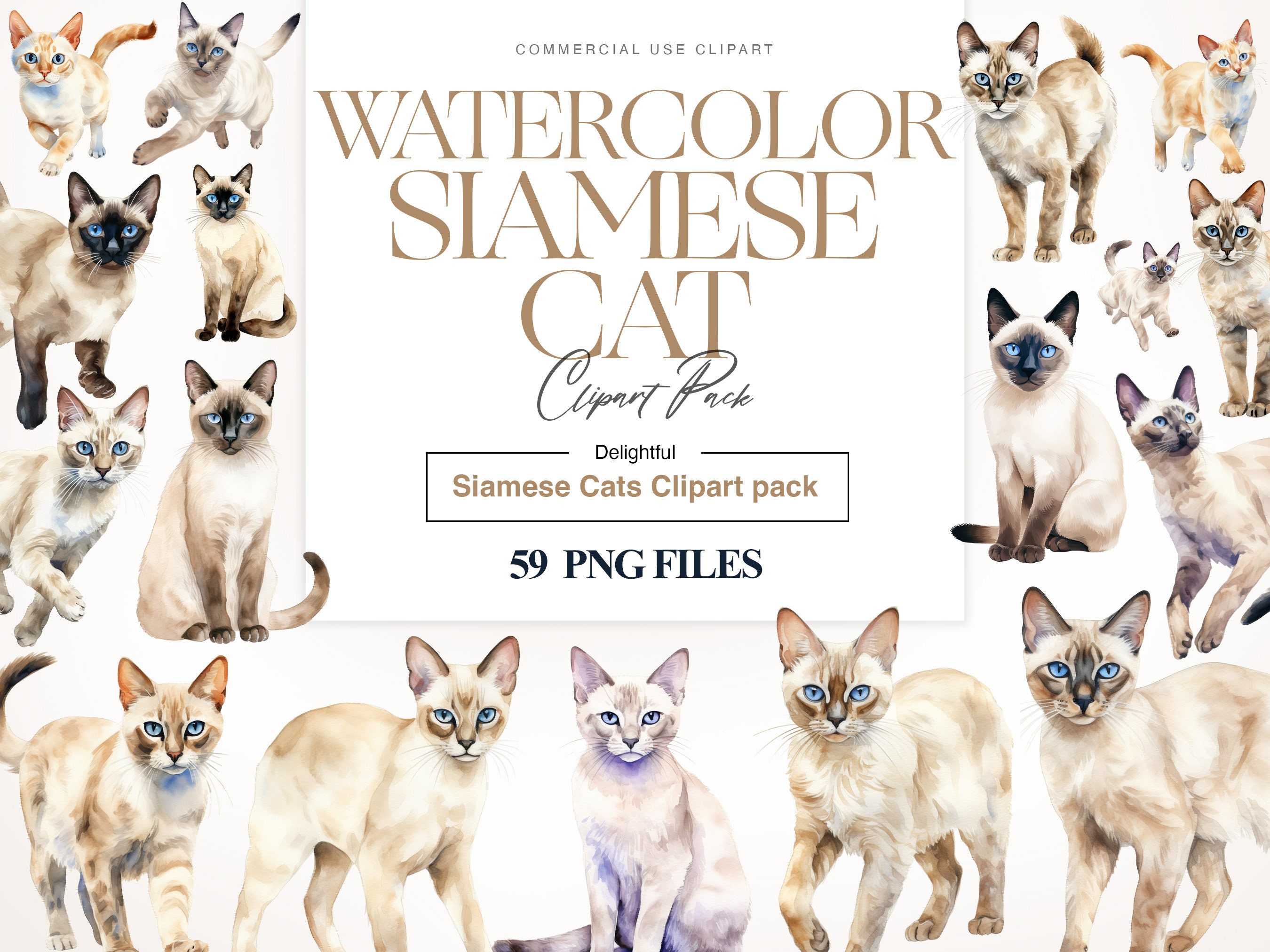 Siamese Cat Clipart, Siamese Print, Cat Breed, Siamese Cat PNG, Kitten ...