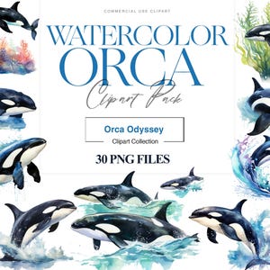Watercolor Orca Clipart, Killer Whale, Orca PNG, Whale Nursery, Killer Whale PNG, Birthday Card, Whale Design