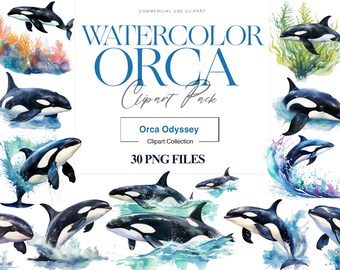Akwarela Orca Clipart, Orka, Orka PNG, Żłobek Wielorybów, Orka PNG, Kartka Urodzinowa, Projekt Wieloryba