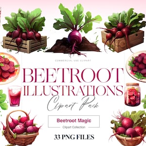 Beetroot Clipart, Healthy Vegetable Garden, Beetroot PNG, Vegetable Basket, Farmers Market, Beetroot Graphics