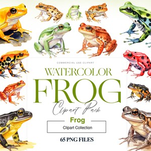 Clipart z żabą akwarelową, słodka żaba drzewna, ropucha trzcinowa, żaba lamparta, ilustracje, zielona żaba PNG, clipart ropuchy