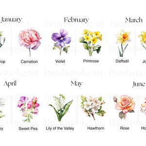 Birth Month Flowers Clipart Birthday Flower Png Watercolour - Etsy