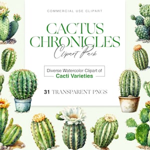 Clipart aquarelle de cactus, illustrations de cactus, pack de cliparts chroniques de cactus - assortiment d'illustrations aquarelles de divers cactus