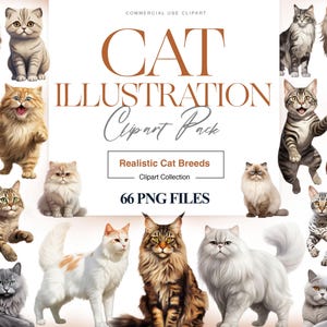 Katzen Illustration Clipart, Maine Coon, Katzenrassen, Bengal Katze, Amerikanisch Kurzhaar, Katze PNG, Glückliches Kätzchen, Haustier