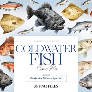 Salt Water Fish Clipart, Salmon, Cod Fish PNG, Watercolor Fish Download, Digital Fish Graphics, Fish Art