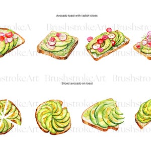 Op de afbeelding: Waterverfillustraties van avocado toast met radijsschijfjes en gesneden avocado op toast. De toast is belegd met groene avocadoschijfjes en rode radijsschijfjes. Het brood is geroosterd met sesamzaadjes.