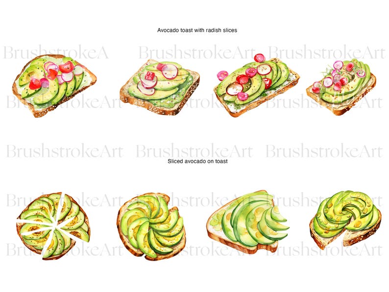 Op de afbeelding: Waterverfillustraties van avocado toast met radijsschijfjes en gesneden avocado op toast. De toast is belegd met groene avocadoschijfjes en rode radijsschijfjes. Het brood is geroosterd met sesamzaadjes.
