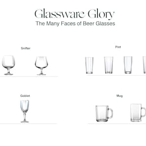 Op de afbeelding: Een afbeelding die verschillende soorten glaswerk voor bier laat zien, waaronder een snifter, een kelk, een pint en een mok.