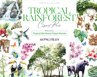 Watercolor Tropical Rainforest Clipart, Tropical Animals, Birds, Parrot Clipart, Toucan, Wildlife, Rainforest