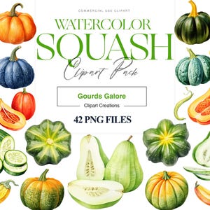 Watercolor Squash Clipart, Pumpkin, Butternut Squashes Clipart, Autumn Vegetable, Gourd Clipart, Fall Harvest