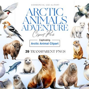 Cute Arctic Animals, Watercolor Hare, Wolf, Polar Bear, Penguin Clipart, Seal PNG, Polar Animals, Wall Art