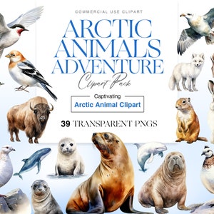 Bonitos animales del Ártico, Liebre de acuarela, Lobo, Oso polar, Imágenes prediseñadas de pingüino, Sello PNG, Animales polares, Arte de pared