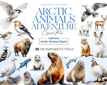 Cute Arctic Animals, Watercolor Hare, Wolf, Polar Bear, Penguin Clipart, Seal PNG, Polar Animals, Wall Art