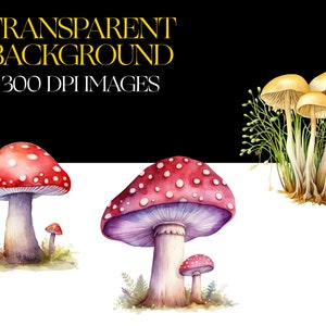 May include: Watercolor illustration of three different types of mushrooms. The mushrooms are painted in shades of red, white, and yellow. The mushrooms are set against a white background.