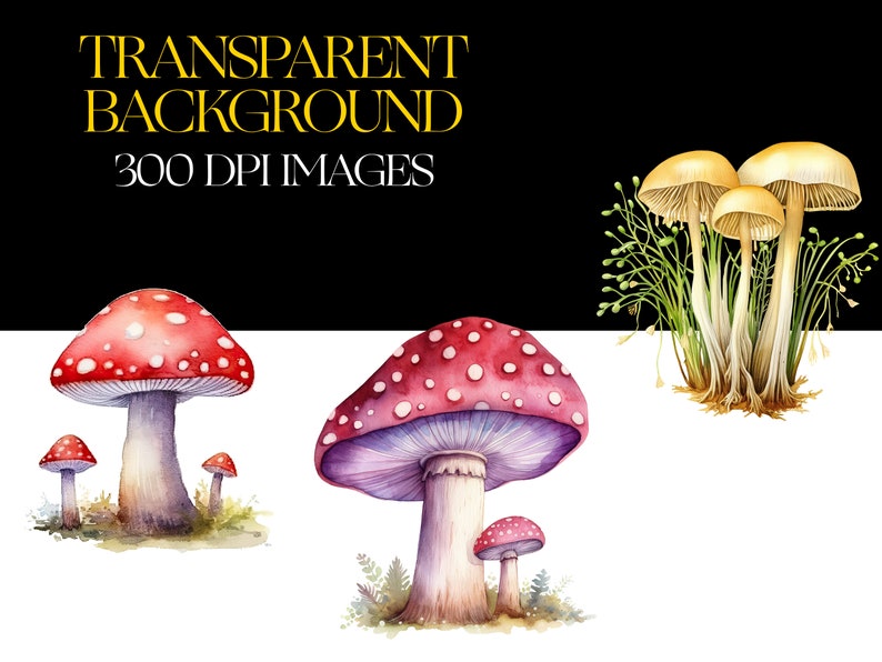 May include: Watercolor illustration of three different types of mushrooms. The mushrooms are painted in shades of red, white, and yellow. The mushrooms are set against a white background.