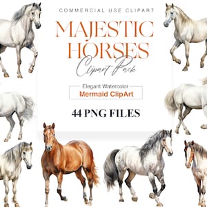 Watercolor Horse Clipart, Farm Animal, Woodland, Nursery, Wall Art, Brown Horse, Cute Pony, White Horse PNG