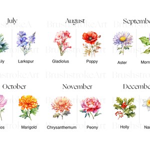Birth Month Flowers Clipart, Birthday Flower Png, Watercolour Flower ...