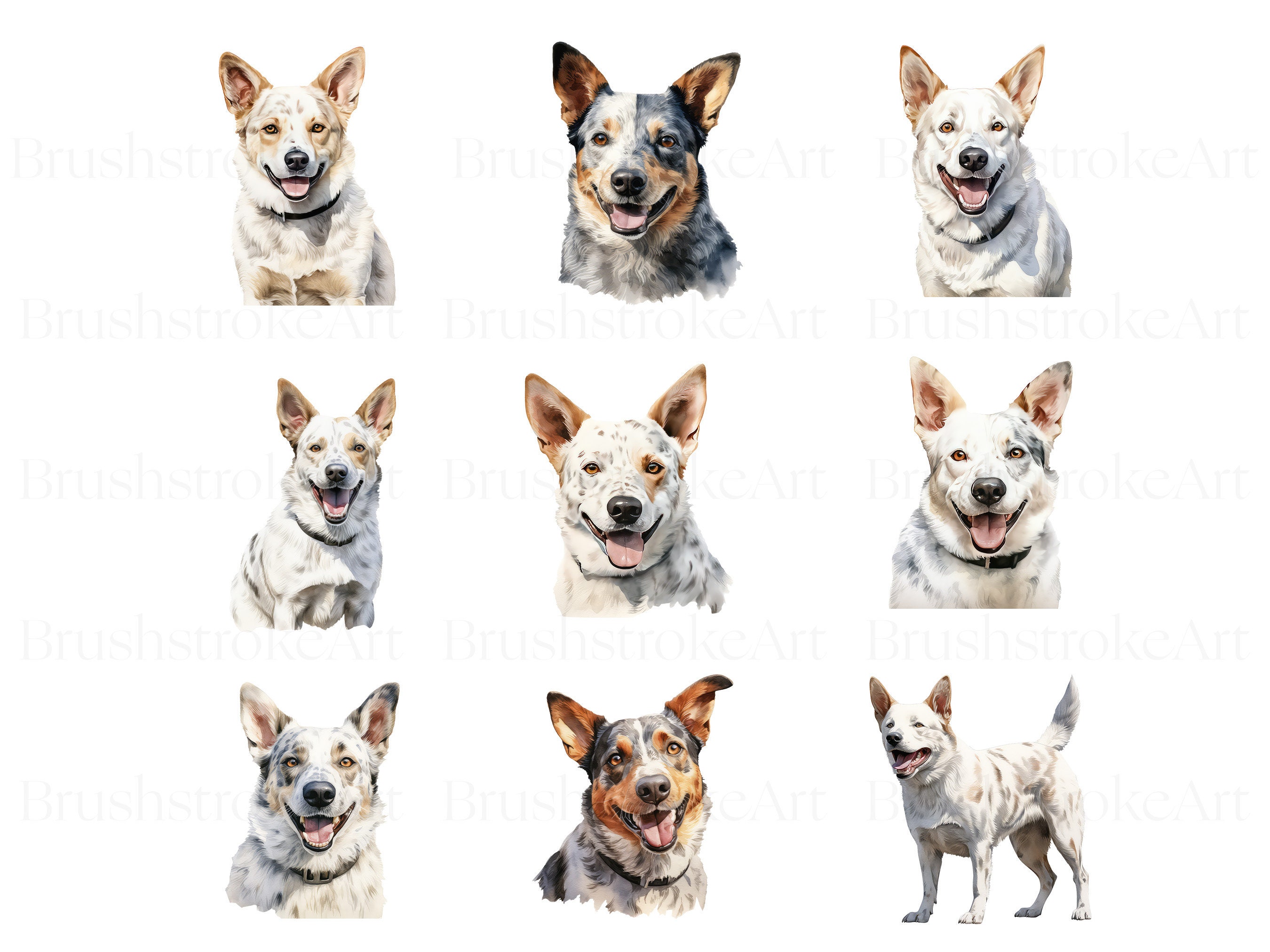 Australian Cattle Dog Clipart Collection Blue Heeler Watercolour ...
