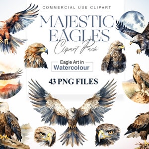 Aquarell Adler Clipart, Amerikaner, Weißkopfseeadler, Kopf, amerikanisches Symbol, majestätischer Adler, 4. Juli PNG