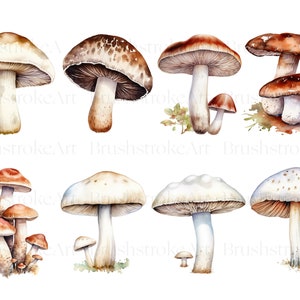May include: Watercolor painting of various mushrooms in different colors and sizes. The mushrooms are painted in a realistic style with details like spots and gills.