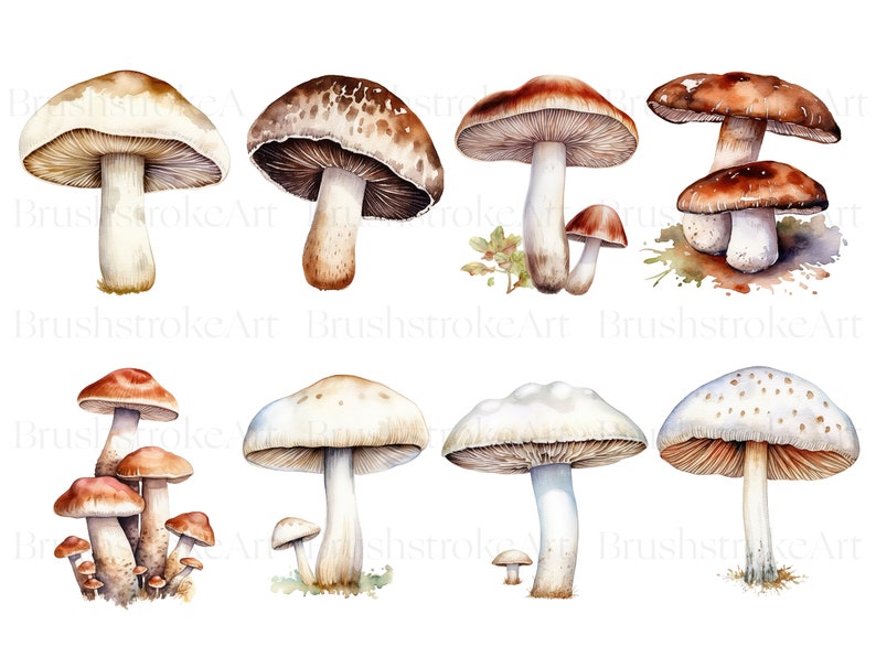 May include: Watercolor painting of various mushrooms in different colors and sizes. The mushrooms are painted in a realistic style with details like spots and gills.