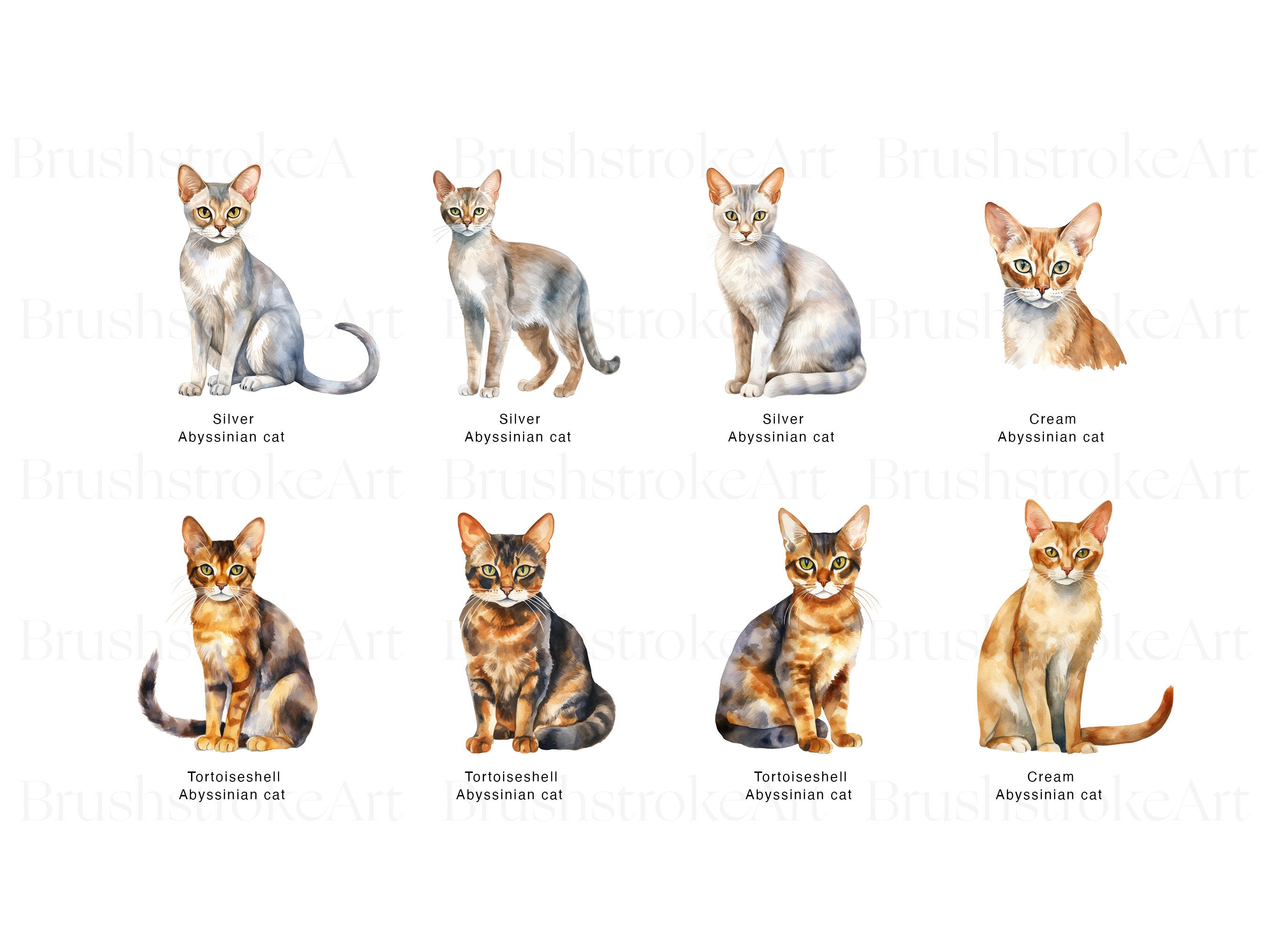 Abyssinian Cats Clipart, Cat Breeds, Kitten Clipart, Cat Lover ...