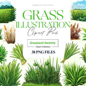 Grass Clipart, Nature, Green Grass PNG, Tufts of Grass, Field Clipart, Leaves, Meadow, Wild Grass Borders