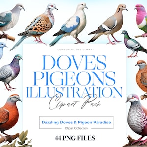 Dove Illustration Clipart, White Dove Flying, Bird Clipart, The Dove of Peace Design, Bird Graphics, Dove PNG