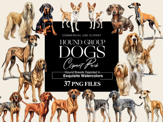 Hound Group Dogs Clipart Collection - 37 Unique Watercolor