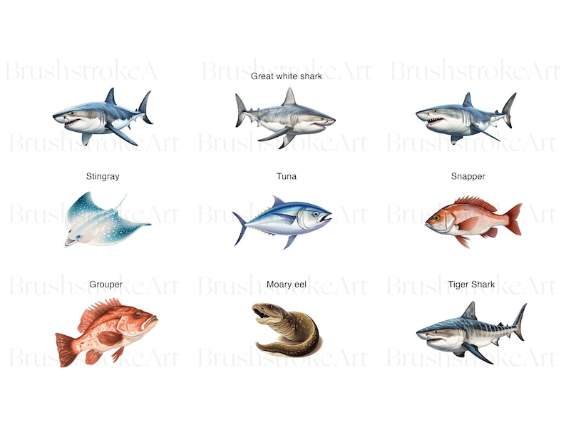 Puede incluir: Ilustraci&oacute;n de nueve tipos diferentes de peces, incluyendo un gran tibur&oacute;n blanco, una raya, un at&uacute;n, un pargo, un mero, una morena y un tibur&oacute;n tigre. Los peces se representan en un estilo realista con detalles precisos y colores vibrantes.