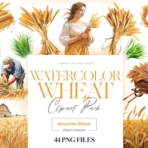 Aquarel tarwe clipart, gouden tarwe, veldlandschap, tarwe png, graan clipart, tarweoogst, boerenleven