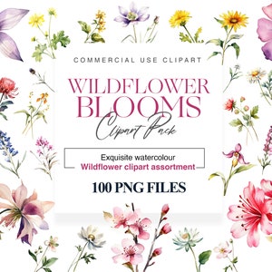 Wild Flowers Clipart Pack, Wildflower watercolour Clipart, Floral clipart, Blooming Wildflower PNG Images, wildflowers svg