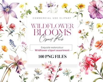 Wild Flowers Clipart Pack, Wildflower watercolour Clipart, Floral clipart, Blooming Wildflower PNG Images, wildflowers svg