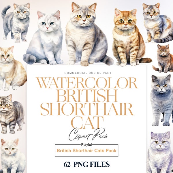British Shorthair Cat Clipart, Watercolor Cat Breeds, Shorthair Cat PNG, British Breed, Cat Illustration, Pet